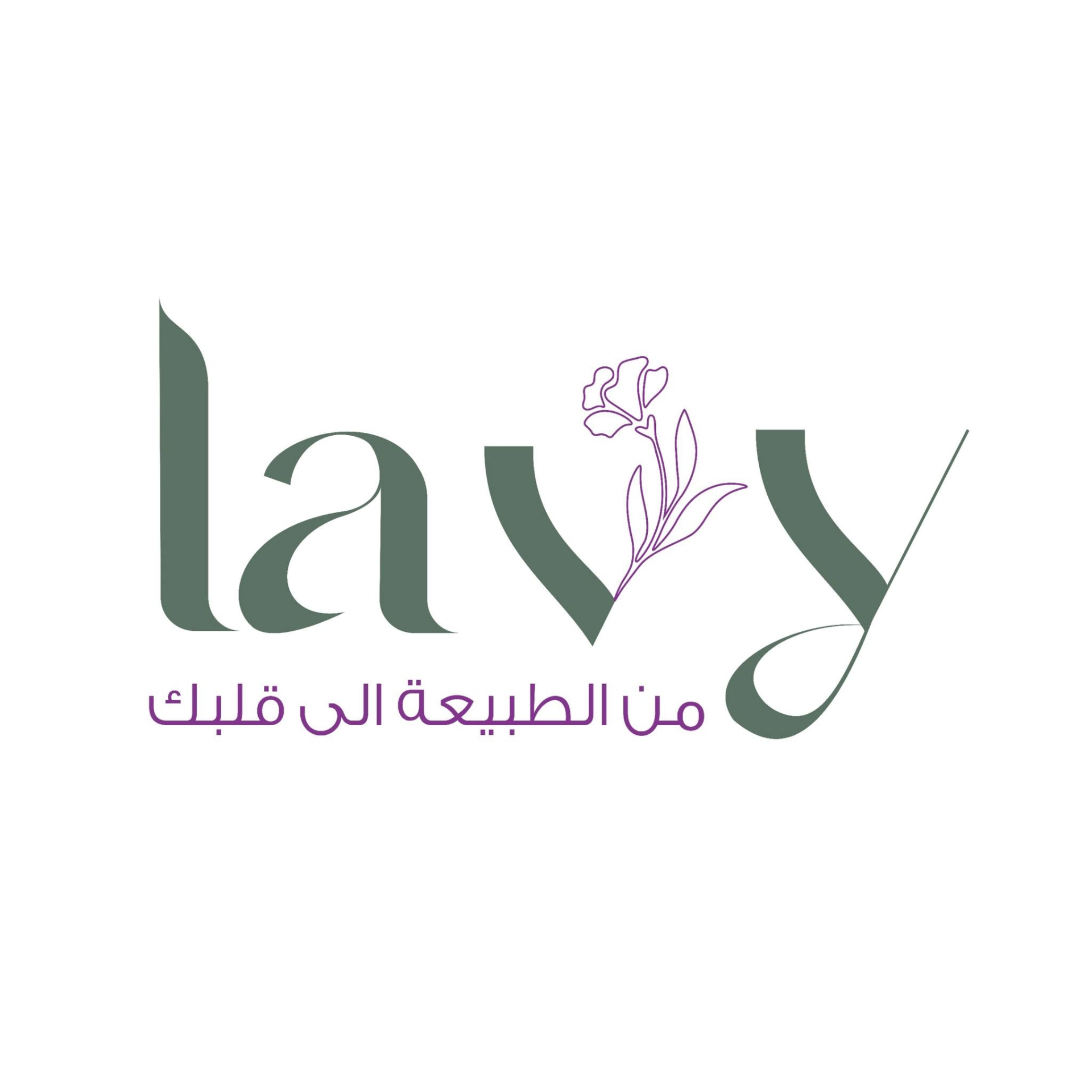 Lavy — عميل Blueprint من جهاد إبراهيم في Media Buying